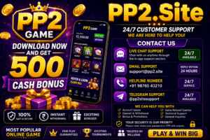 PP2 Game Contact Us