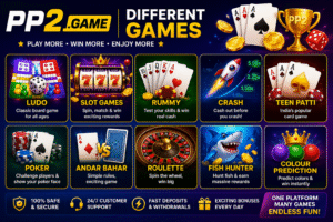 PP2 Games Disclaimer